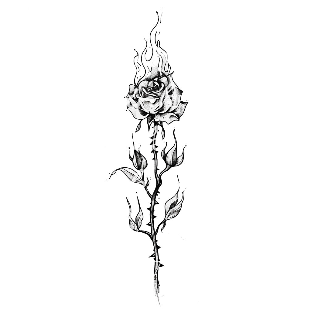 Burning Rose