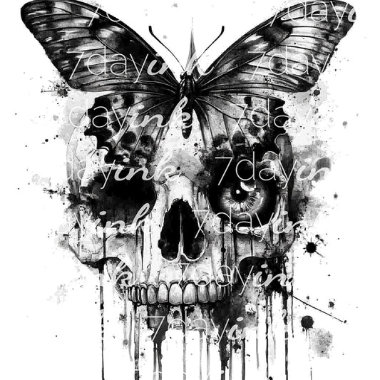 Butterfly over Skull with Eye