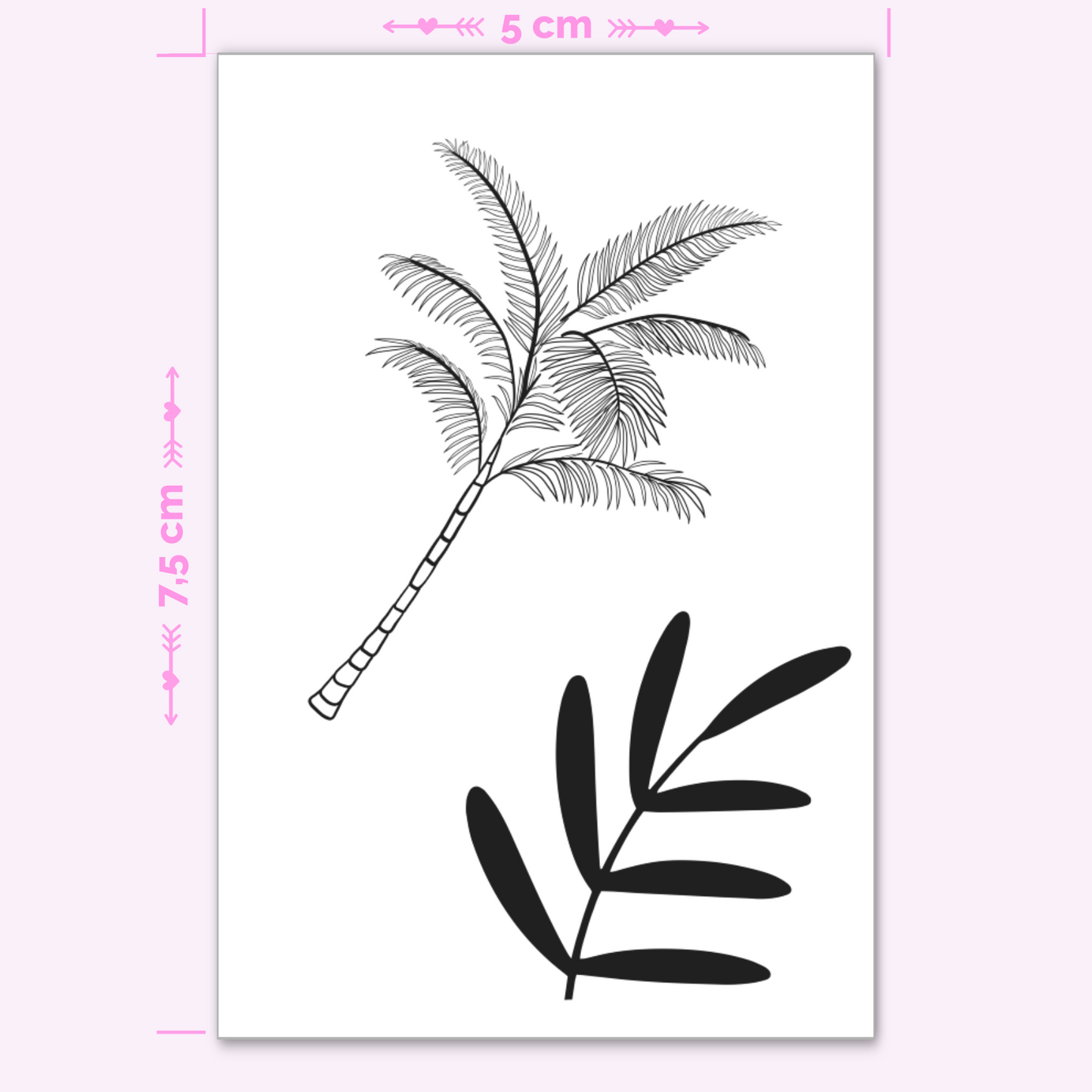 Palm Tree & Fern