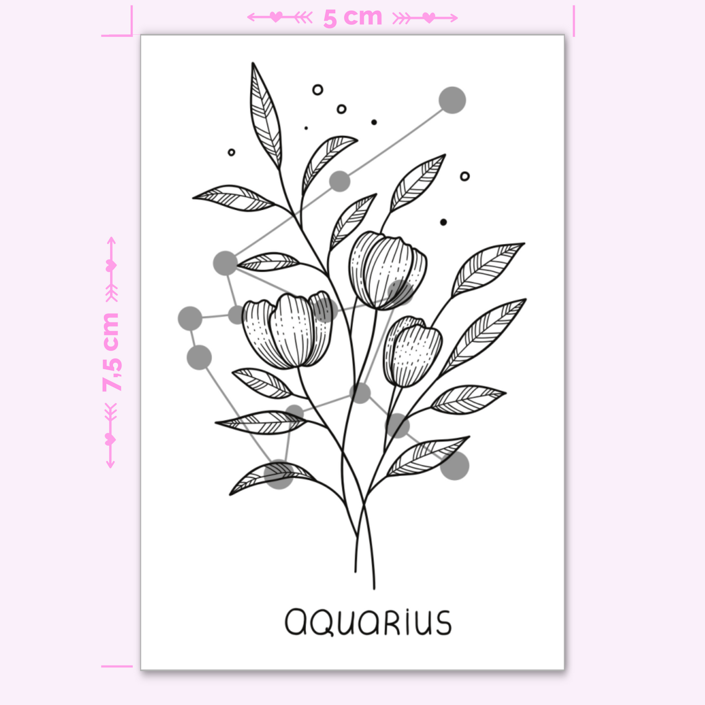 Zodiac Sign Aquarius with Flowers (mini)