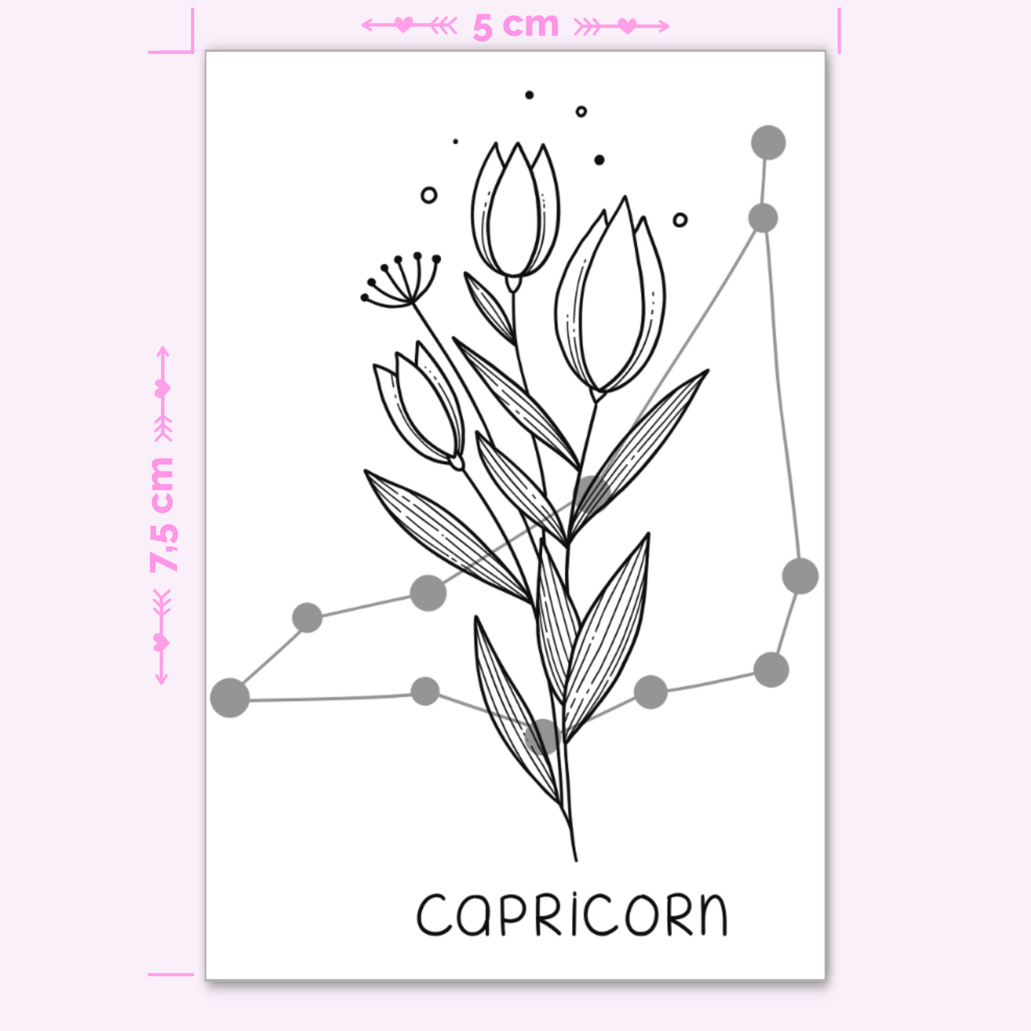 Zodiac Sign Capricorn with Flowers (mini)